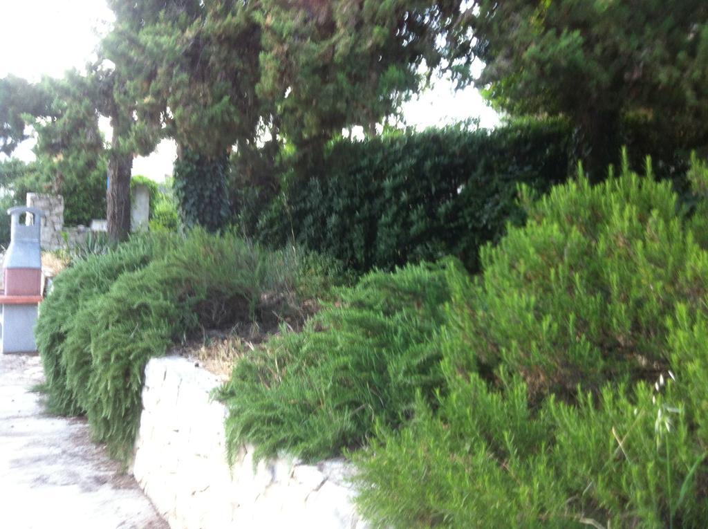 Apartments Casa Nostra Biograd Na Moru Exterior photo